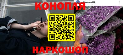 прущая мука Камышлов