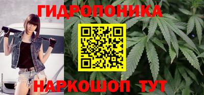 мдпв Кандалакша
