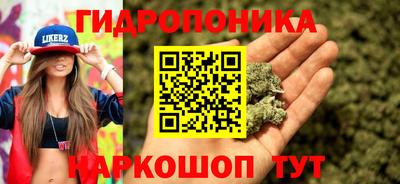 крисы Канаш