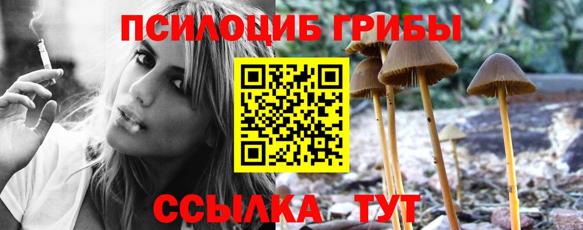 Псилоцибиновые грибы мухоморы  Вход с VPN  Старая Русса  Псилоцибиновые грибы мицелий 