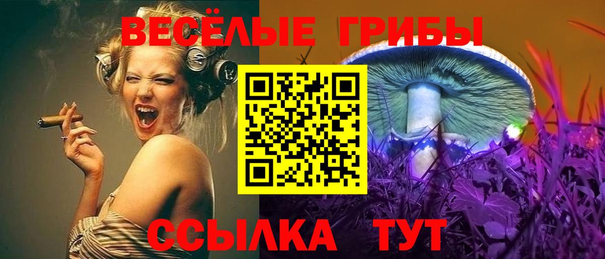 Галлюциногенные грибы прущие грибы Старая Русса